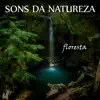 Dormir Profundamente & Música Relaxante - Sons da Natureza: Floresta